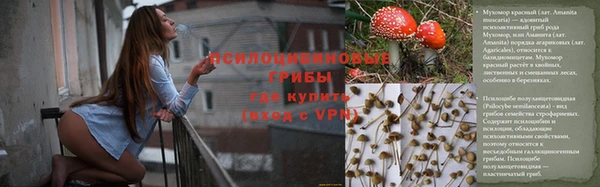 PSILOCYBIN Арсеньев
