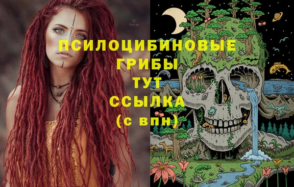 каннабис Аркадак