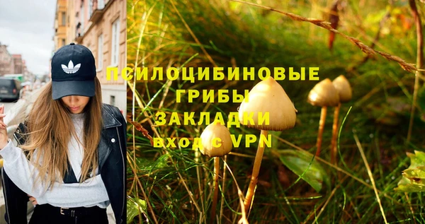 каннабис Аркадак