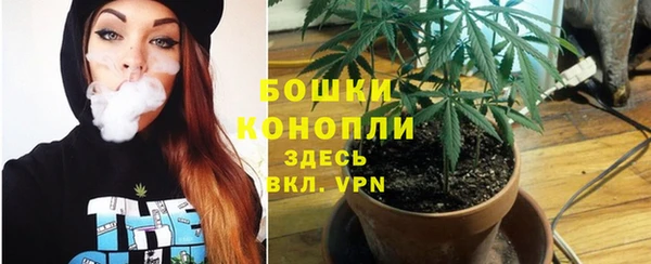 каннабис Аркадак